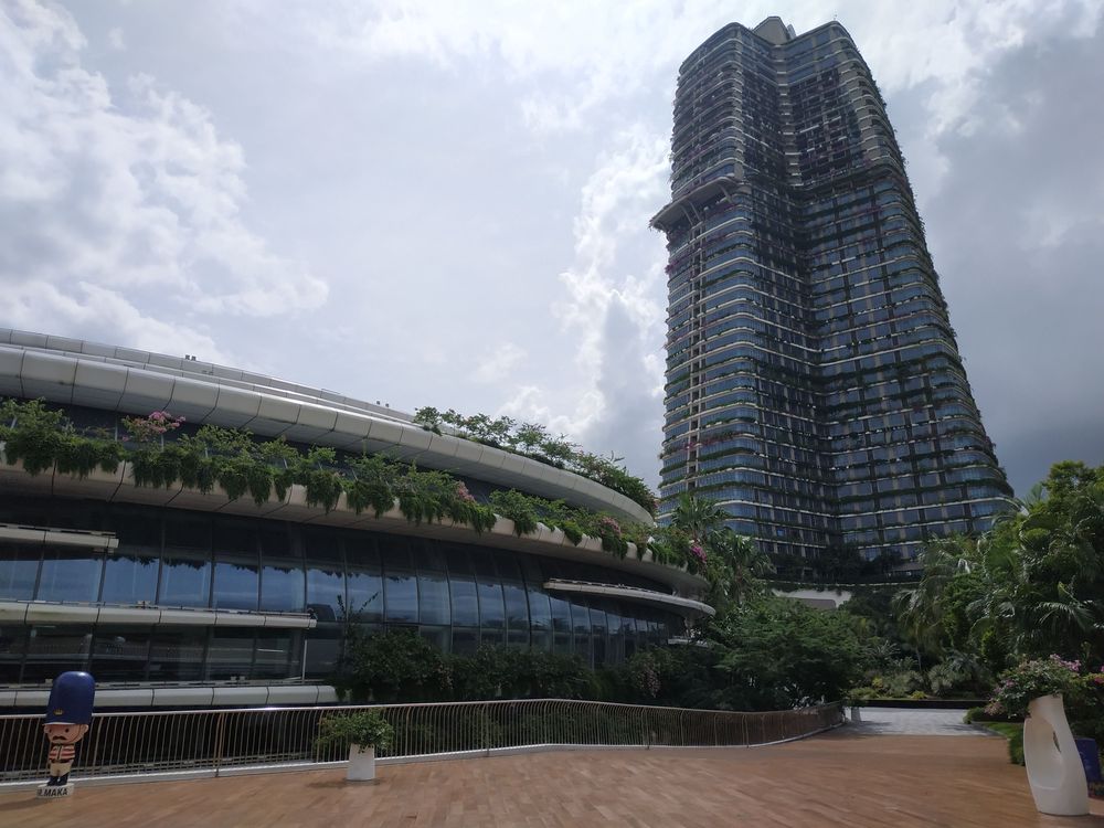 学者:发展模式如深圳香港 森林城市可与狮城互补
